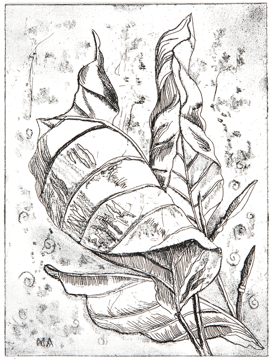 Dry Point – Autumn Leaves